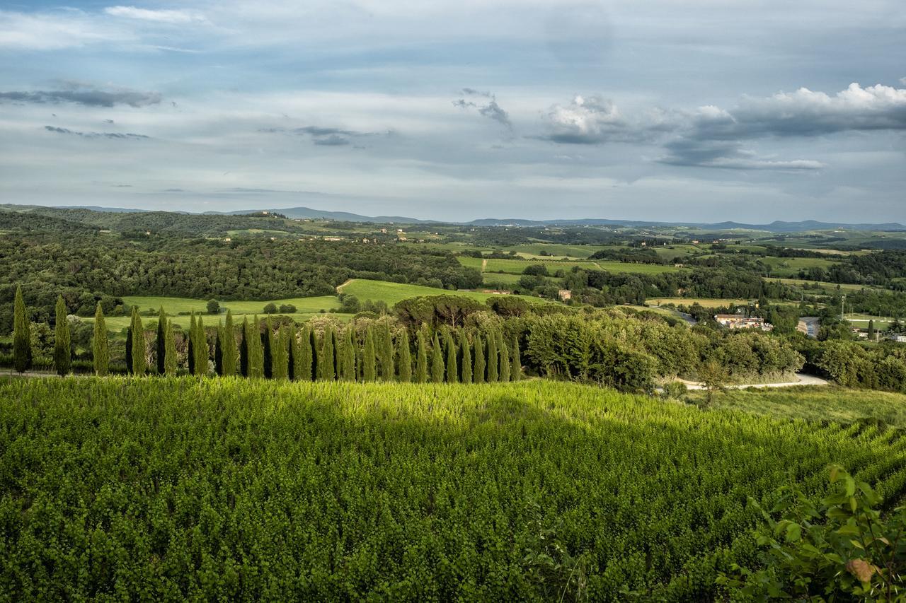 Вилла Borgo Argiano Кастельнуово-Берарденга Экстерьер фото